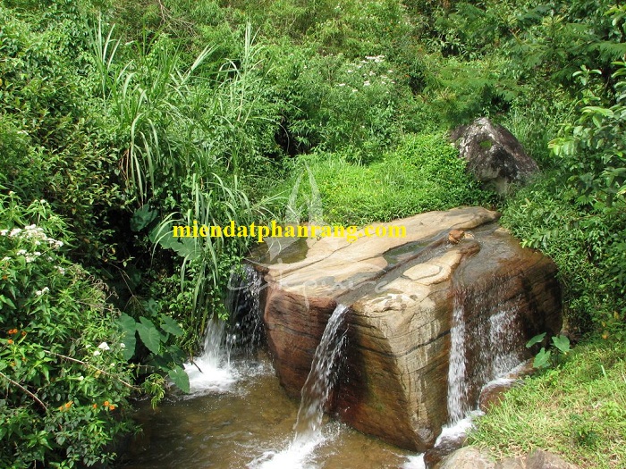 Deo ngoan muc song pha ninh thuan 